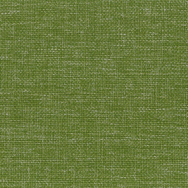 Couleur en polyester (berta)