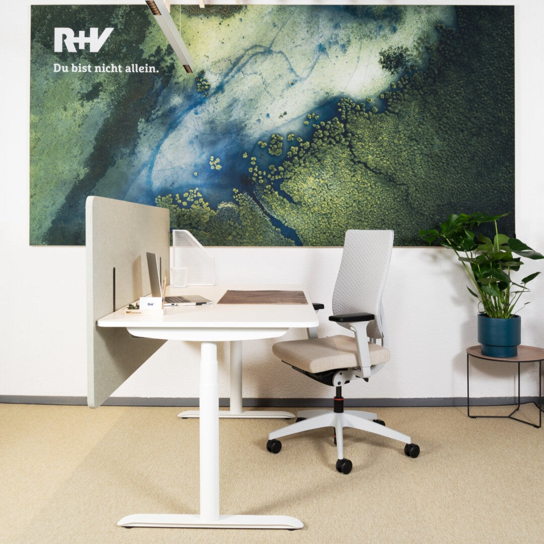 Acoustic Panel Desk Two – Top Akustiklösung mit Absorptionsklasse A | Schweizer Qualitätsprodukt