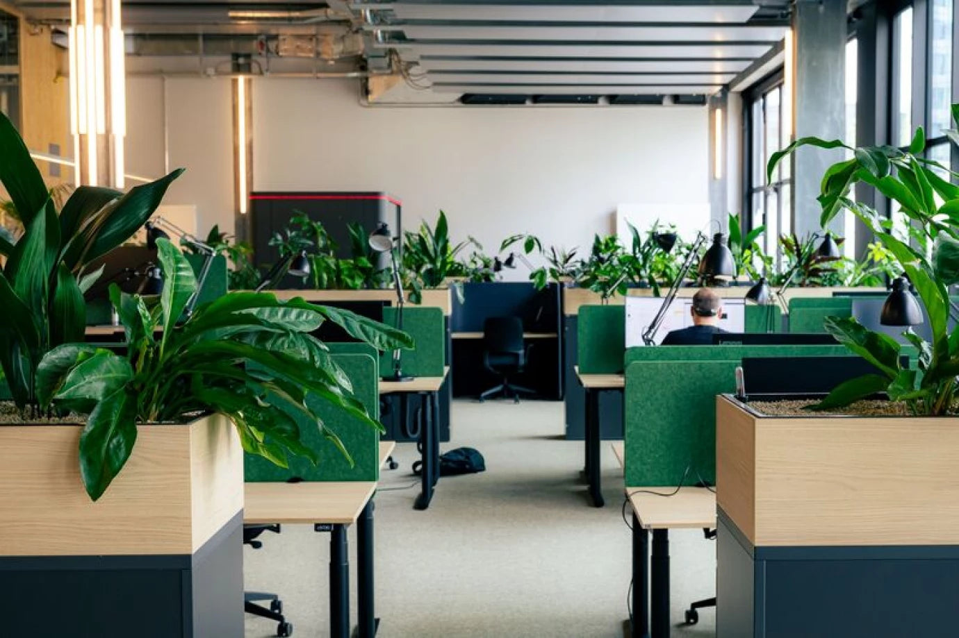 Arbeitsplatztrenner aus recyceltem PET Schweiz