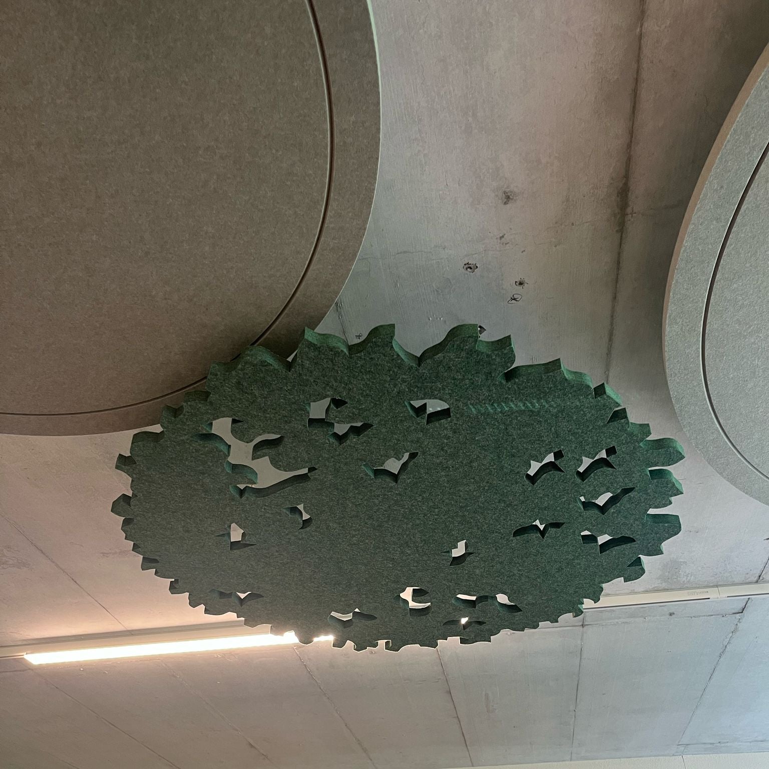 Deckenpanel Forest zur Nachhallreduktion in Schulräumen