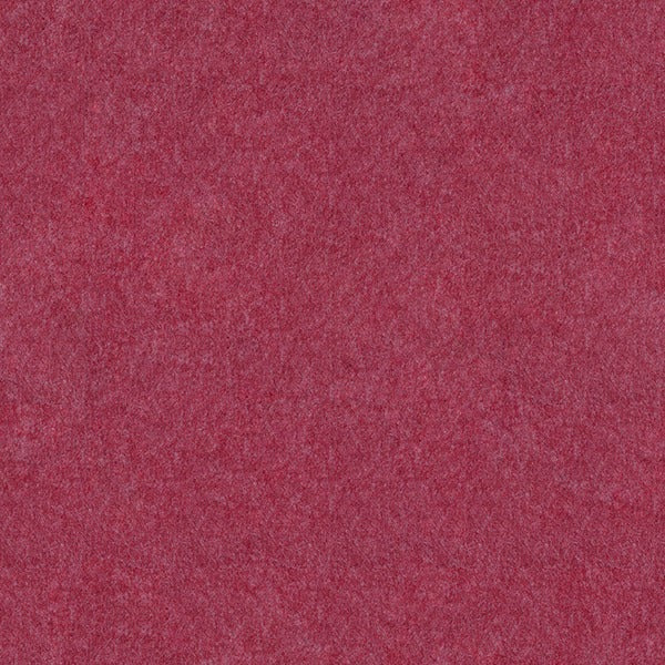 Couleurs de feutre pour animaux