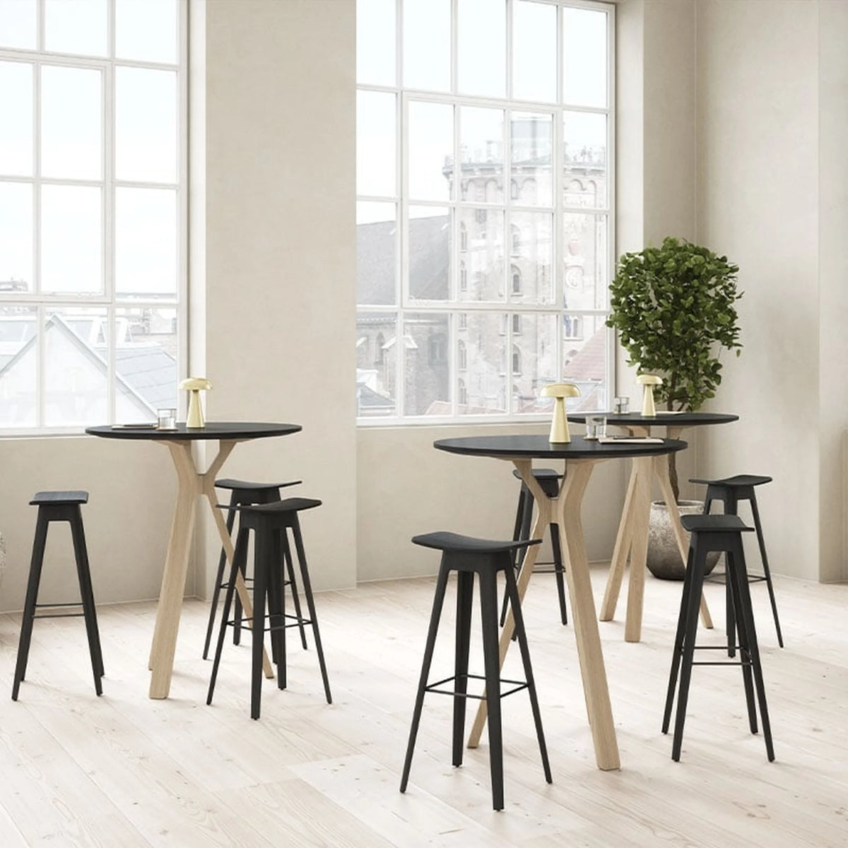 Designer oak bar stool in two seat heights | HC1