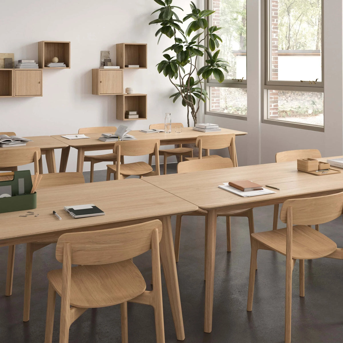 Oak wooden chair, stackable and versatile | Anch
