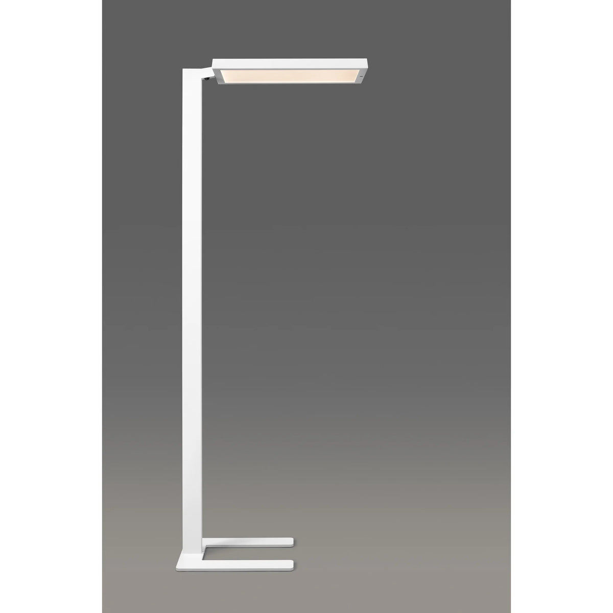 Floor lamp for offices with direct and indirect light | Bob