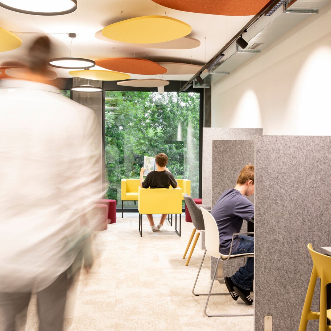 Schallabsorbierendes Deckenpanel Stone Schweiz