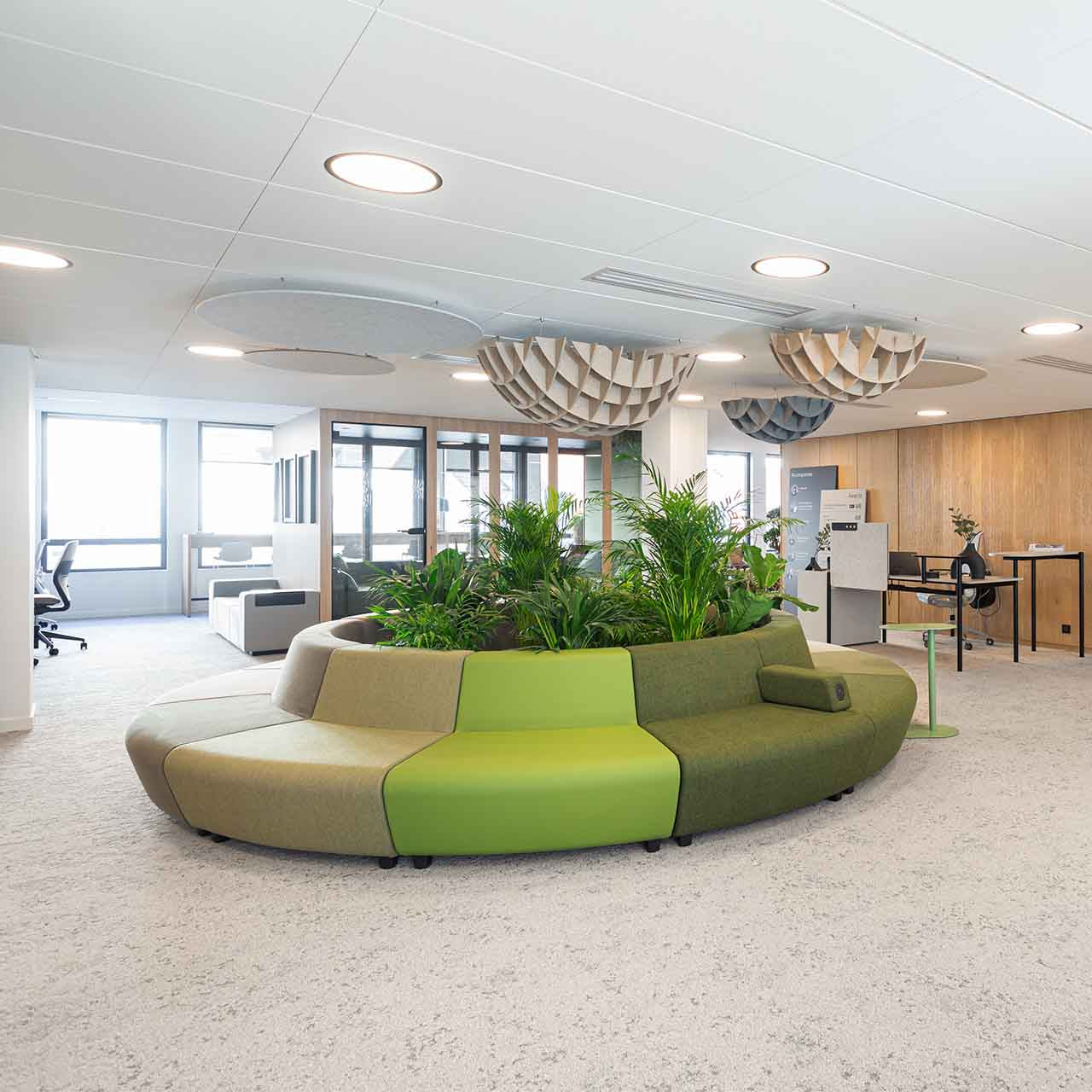 Lounge Sessel rund in gruen mit Steckdosen Outlet