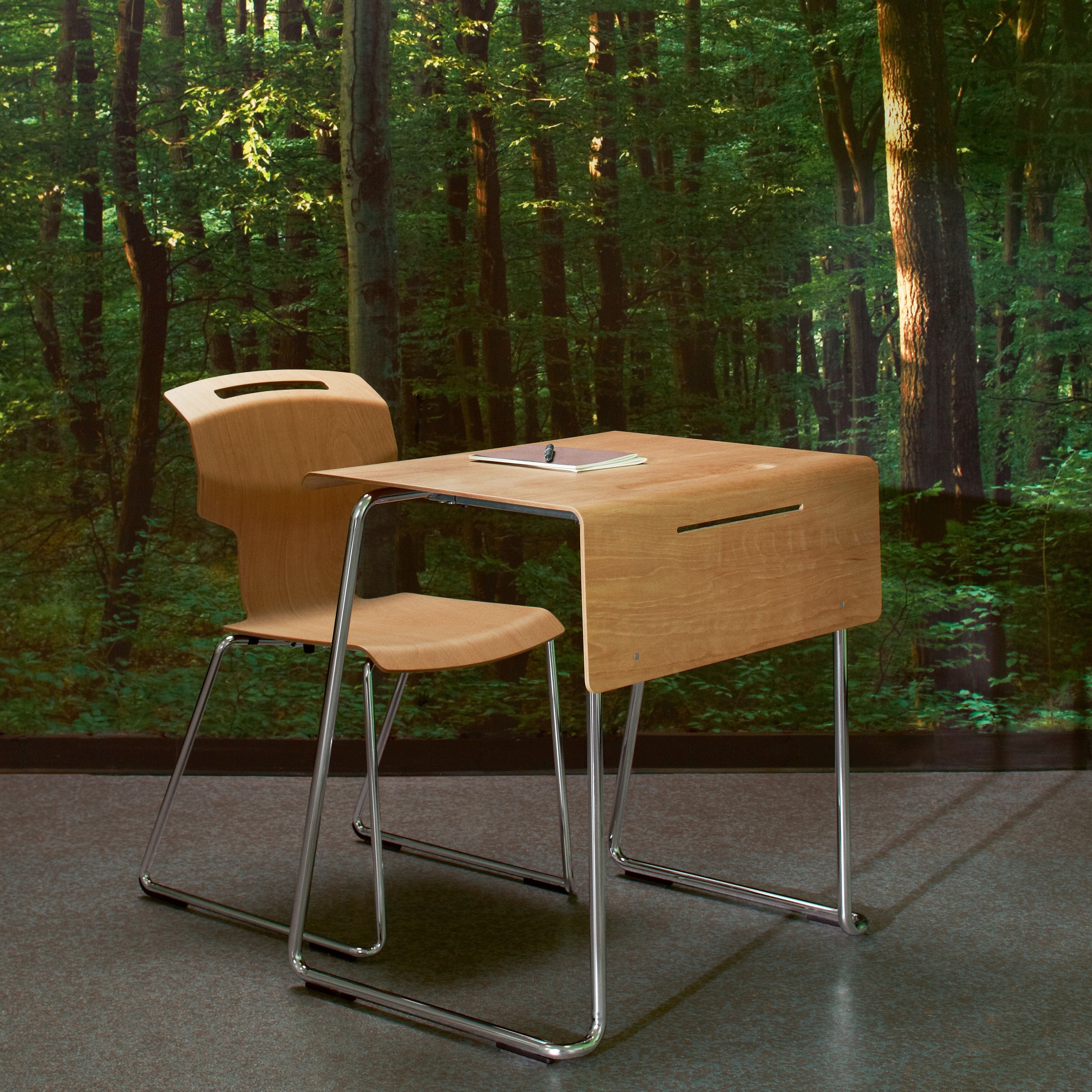 Schulstuhl PAGHOLZ robust